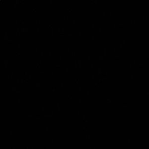 Meet your Posher, Jackson